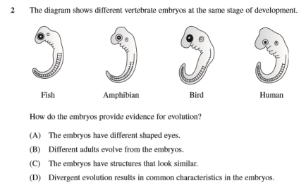 2012 HSC Biology